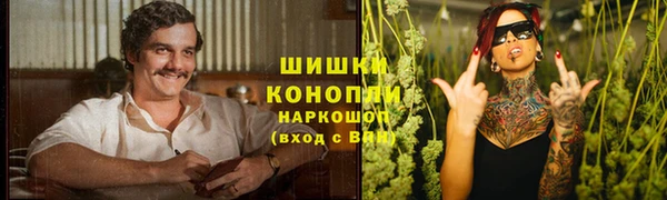 крисы Белокуриха