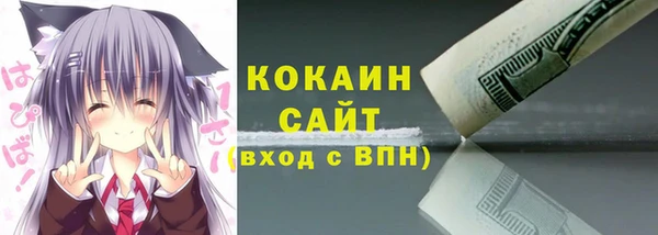 крисы Белокуриха