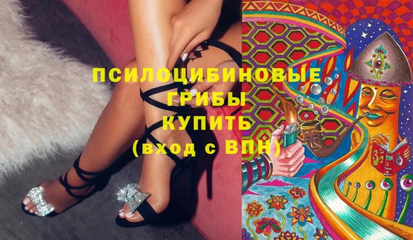 мдма Богородицк