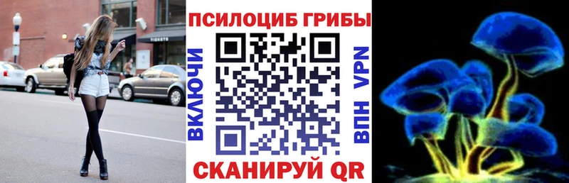 где купить наркоту  Санкт-Петербург  Псилоцибиновые грибы Psilocybine cubensis 